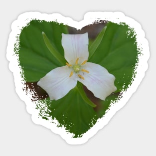 Trillium Heart Sticker